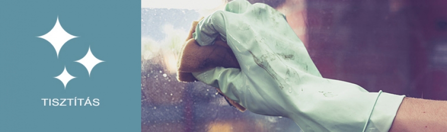 Tiszt&iacute;t&aacute;s